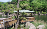 超穴場！自然散策からデイキャンプまで遊び方いっぱいの、しながわ区民公園