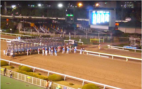 新感覚！豪華な料理と落ち着いた雰囲気の競馬場レストランでリッチな女子会！