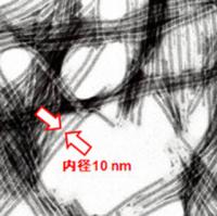 はるな愛、鈴木奈々に「キャスティング間違えてない?」とダメ出し