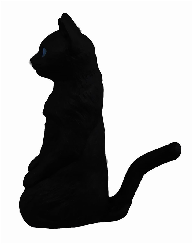 猫背を克服した“師範代ネコ”は、シークレットだ。