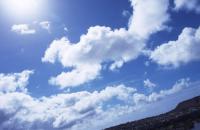 2年ぶりに空から降ってきたオタマジャクシ