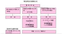 東電vs政府　泥仕合で出てくるものは？
