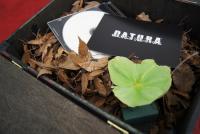 『DATURA』って一体何なんだー！ 意味不明な木箱を開けてみた