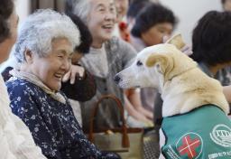 セラピードッグと触れ合い、笑顔を浮かべるお年寄り=27日午後、福島県相馬市