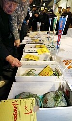 初競りで2個160万円の値をつけた夕張メロン=札幌市中央区で2013年5月24日午前7時5分、貝塚太一撮影