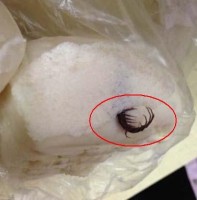 21日、江西省の南昌大学科学技術学院の学生食堂で販売されたまんじゅうにムカデが入っていたことが明らかになり、衝撃を呼んでいる。写真はネット上にアップされたムカデ入り饅頭。(Record China)