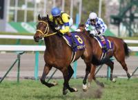 【POG】ディープ産駒ドラ1はノーザンより社台