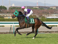 【地方競馬（9日）】2012年度の岩手競馬開幕シリーズが土曜日から開催中