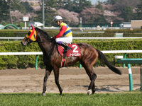 【地方競馬（30日）】本日は祝日ということで豪華に6場開催
