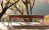 �쑽�r�V�̐V�Ƌ�V���[�Y�uTRONCO�v