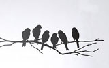 �f���}�[�N�̃C���e���A�u�����h�uFerm�v�̃E�H�[���X�e�b�J�[
