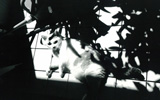 �t�H�g�M�������[�FI LOVE FILM by LOMOGRAPHY x GSS