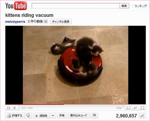 お掃除ロボットに翻弄される子ネコたち