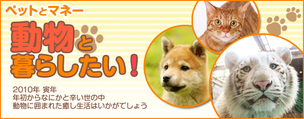 �y�y�b�g�ƃ}�l�[�z�����ƕ�炵�����I