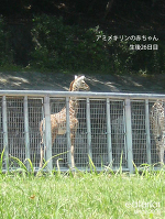 �L�����̐Ԃ���񥥥����26����