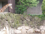 ���炠��A�����̂˂�