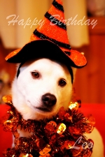 Happybirthday�E�E�EHalloween�H