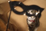 �L�J�t�F �n���E�B��in�����Z���^�[