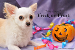 Happy Halloween!