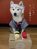�����i������J�X�I