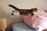 すぅぱぁまん？