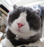 魚眼ドイちゃん