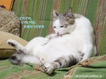 甘えん坊