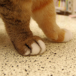 だ～れだ？