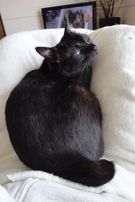 まだまだ涼しい日には…