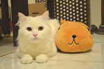 2ショット。