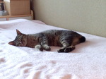 気持ち良さそうね