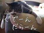 スタート