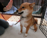 早く行きたい！！