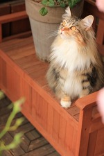 喜びなのか？ 照れなのか？