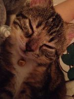She loves sleeping beside me!