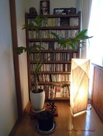 CD収納棚と澤野工房のhand-made JAZZ
