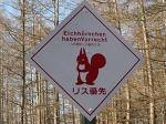 リス優先