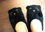 �L�X���b�p
