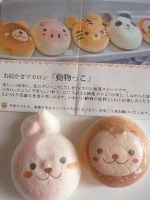 動物っこ