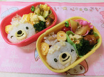 花冠のクマちゃん弁当