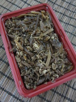 キッチンスギモトのお弁当♪