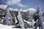 蔵王エコーライン、今年も開通！＠宮城