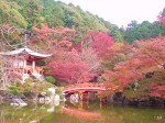 醍醐寺から東福寺へ