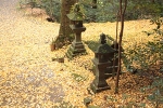 宮崎・高千穂のパワースポット「ニ上神社」