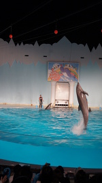 夜の須磨水族館