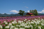 富良野　麓郷展望台！