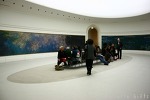 パリ 「オランジュリー美術館」 明るい陽光に咲く『睡蓮』