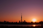 スカイツリーと夕焼け