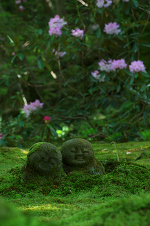 春の花咲く三千院（三千院・後編）