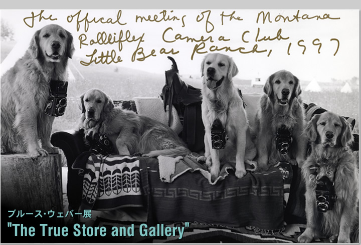 �u���[�X�E�E�F�o�[�W�@"The True Store and Gallery"